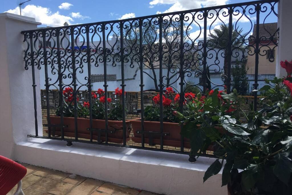 Geranium House Villa Sevilla Kültér fotó